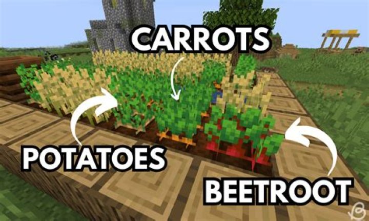 What do pigs eat in Minecraft?
