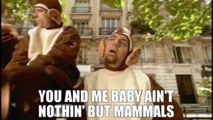 You and me baby ain't nothin' but mammals... Review
