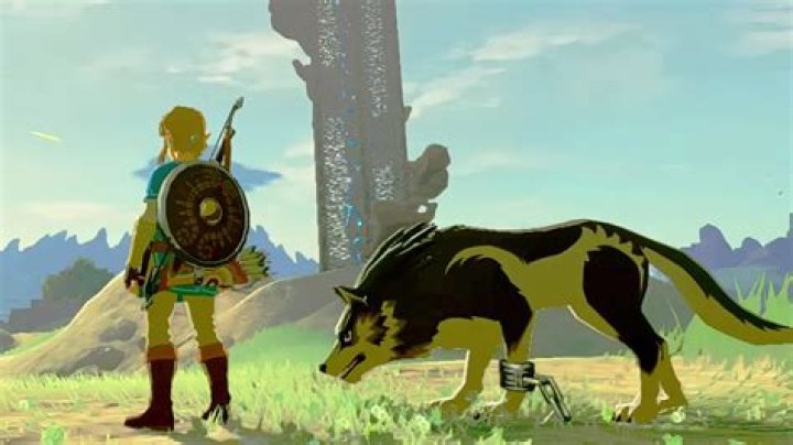 Zelda: Tears of the Kingdom: Is Wolf Link or Midna in the Game?