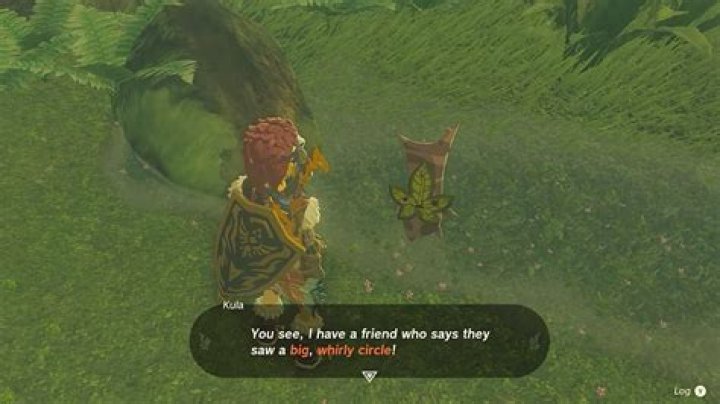 Zelda: Tears of the Kingdom Whirly Swirly Things Solution: What Does Kula Want You to Photograph?