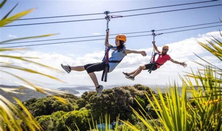 Zipline-2