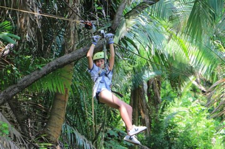 Zipline-5